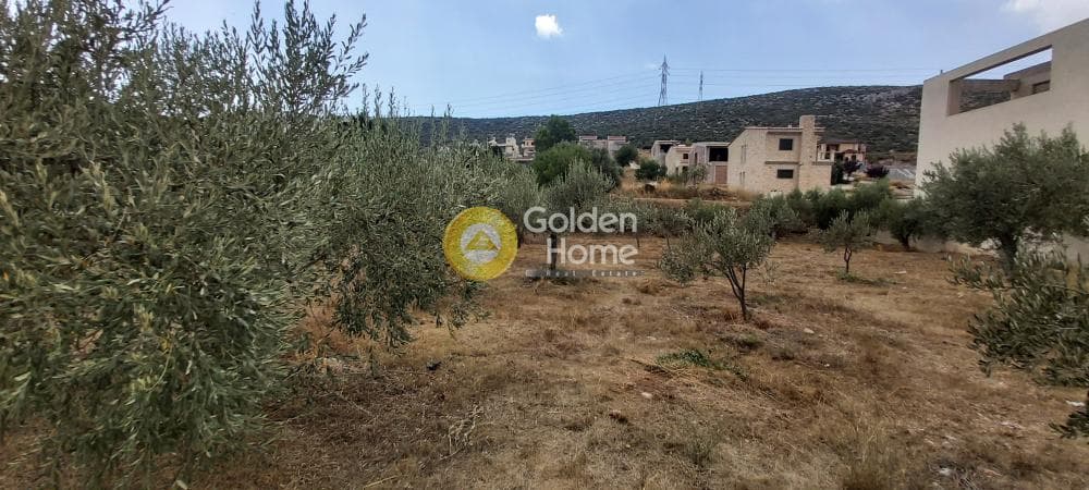 Building Plot in Κέντρο, Kalivia Thorikou — Photo 9 of 18