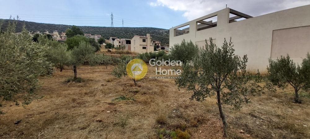 Building Plot in Κέντρο, Kalivia Thorikou — Photo 10 of 18