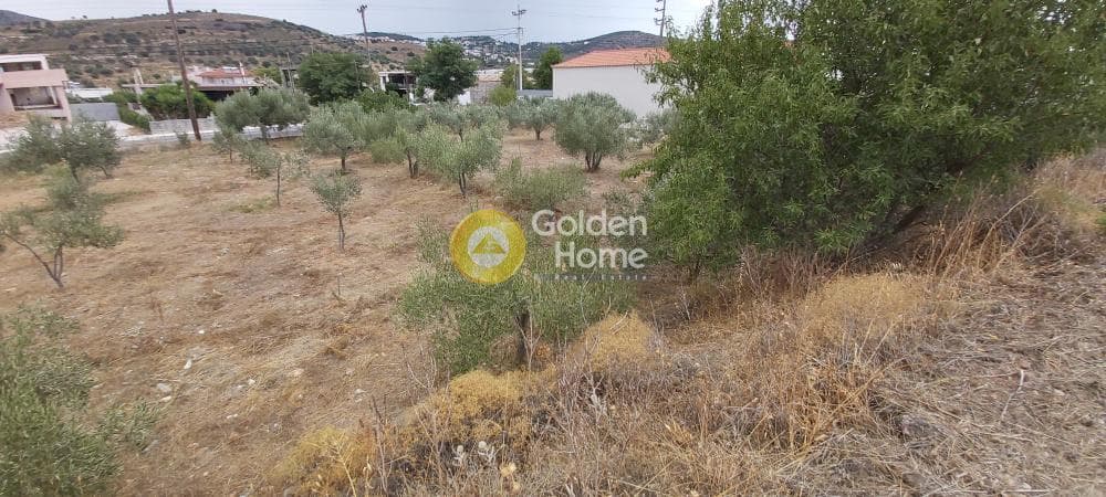 Building Plot in Κέντρο, Kalivia Thorikou — Photo 12 of 18