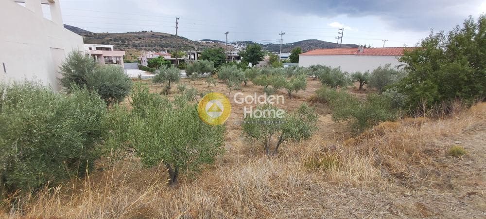 Building Plot in Κέντρο, Kalivia Thorikou — Photo 17 of 18