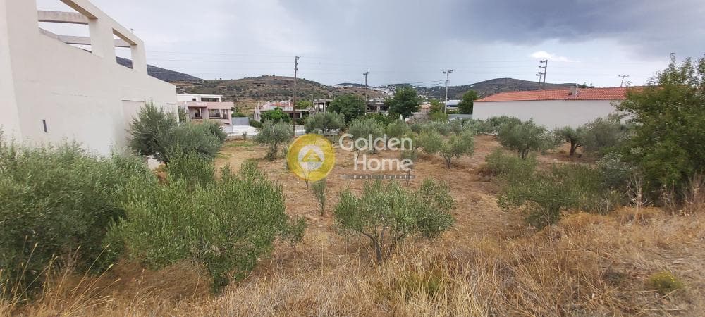 Building Plot in Κέντρο, Kalivia Thorikou — Photo 16 of 18