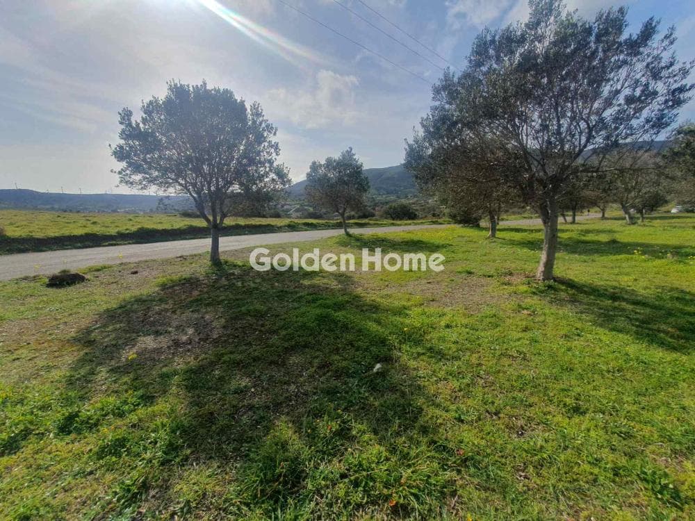 Parcel in Venio Daskaleiou, Keratea — Photo 14 of 18