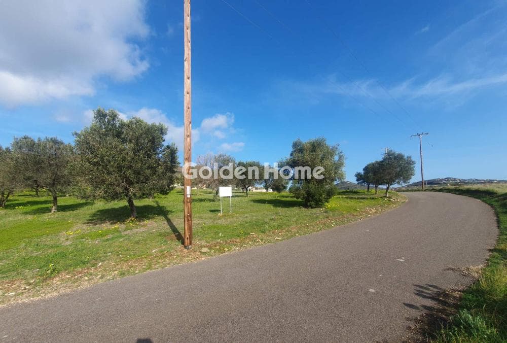 Parcel in Venio Daskaleiou, Keratea — Photo 6 of 18