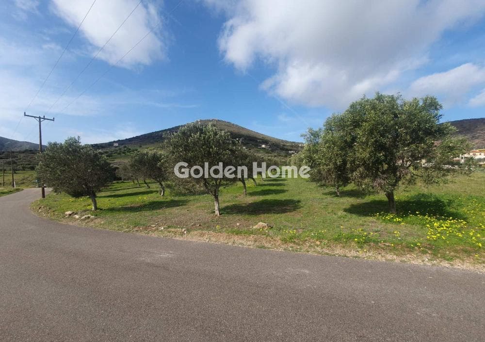 Parcel in Venio Daskaleiou, Keratea — Photo 9 of 18