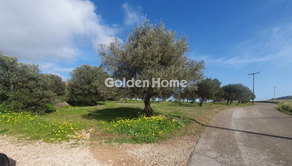 Parcel in Venio Daskaleiou, Keratea — Photo 8 of 18