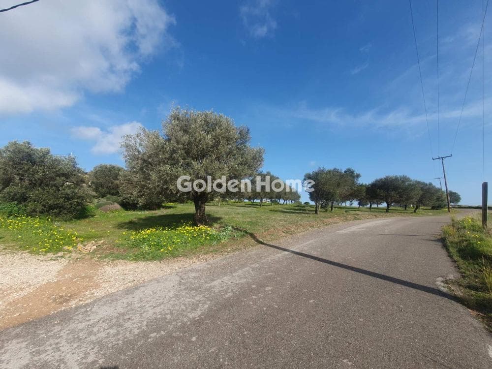 Parcel in Venio Daskaleiou, Keratea — Photo 10 of 18