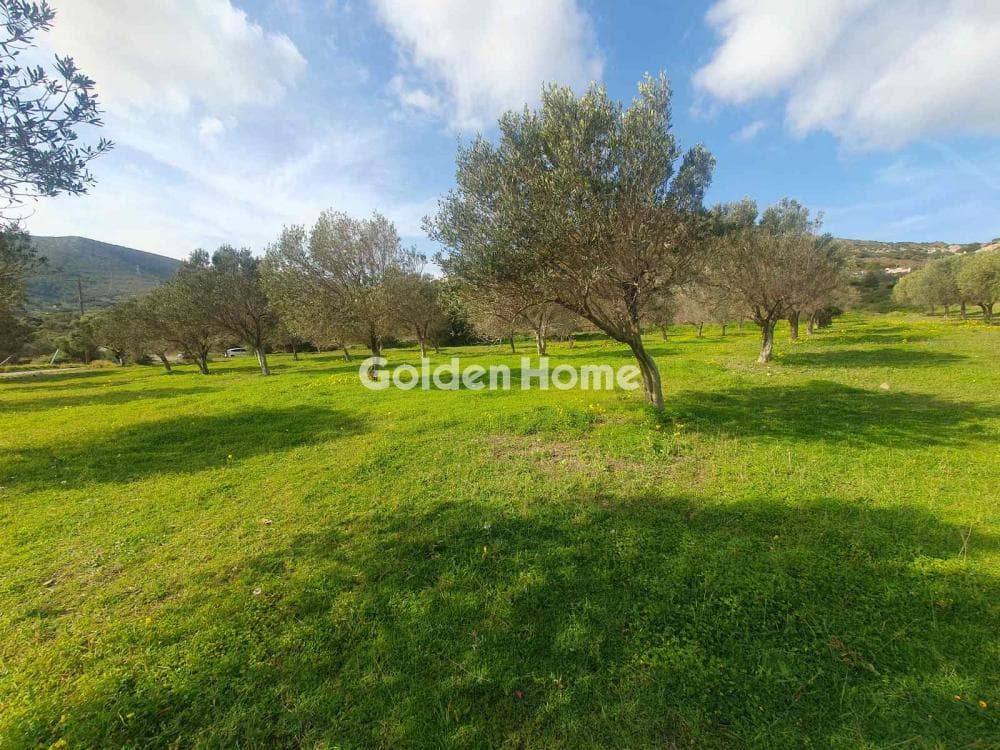 Parcel in Venio Daskaleiou, Keratea — Photo 3 of 18