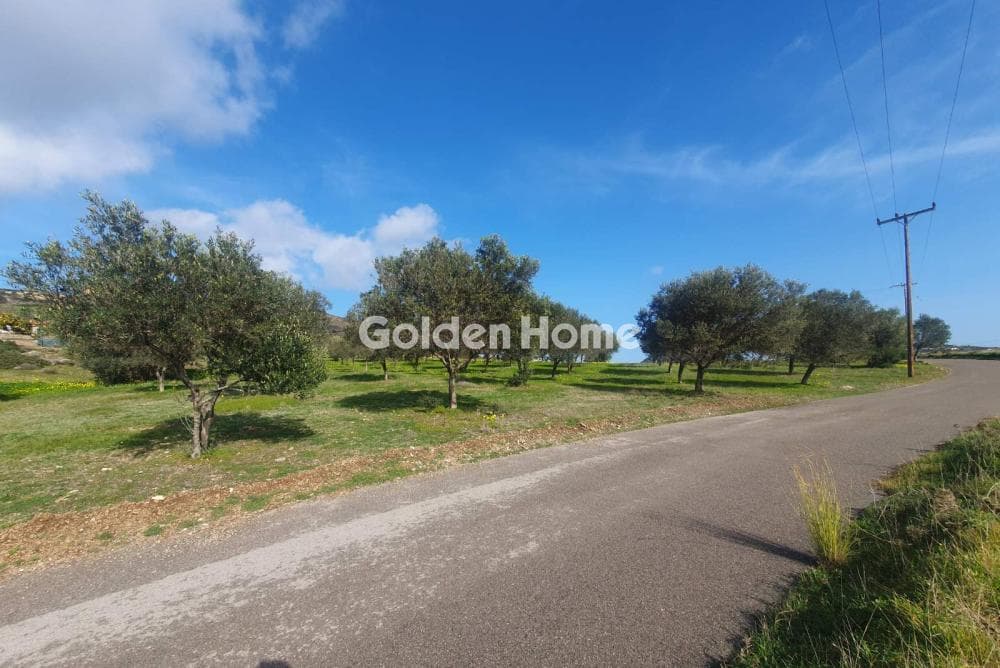 Parcel in Venio Daskaleiou, Keratea — Photo 5 of 18