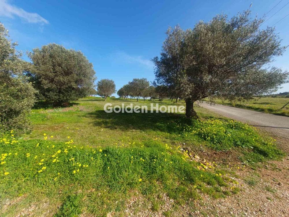 Parcel in Venio Daskaleiou, Keratea — Photo 18 of 18