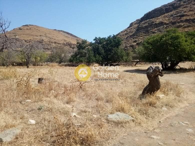 Parcel in Fotimari, Kea — Photo 2 of 7
