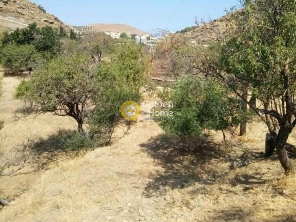 Parcel in Fotimari, Kea — Photo 6 of 7