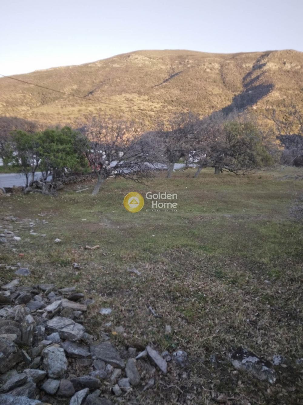 Parcel in Mesaria, Andros — Photo 3 of 57