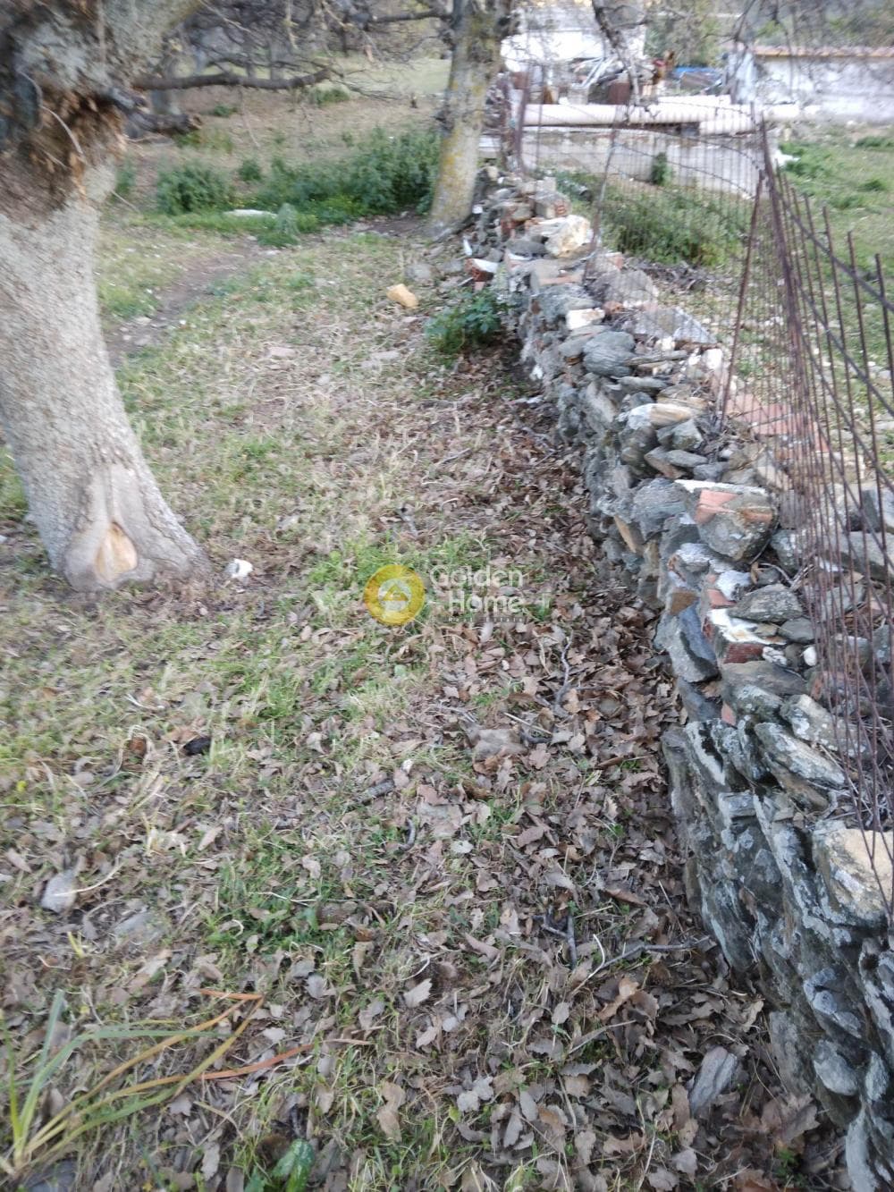 Parcel in Mesaria, Andros — Photo 5 of 57