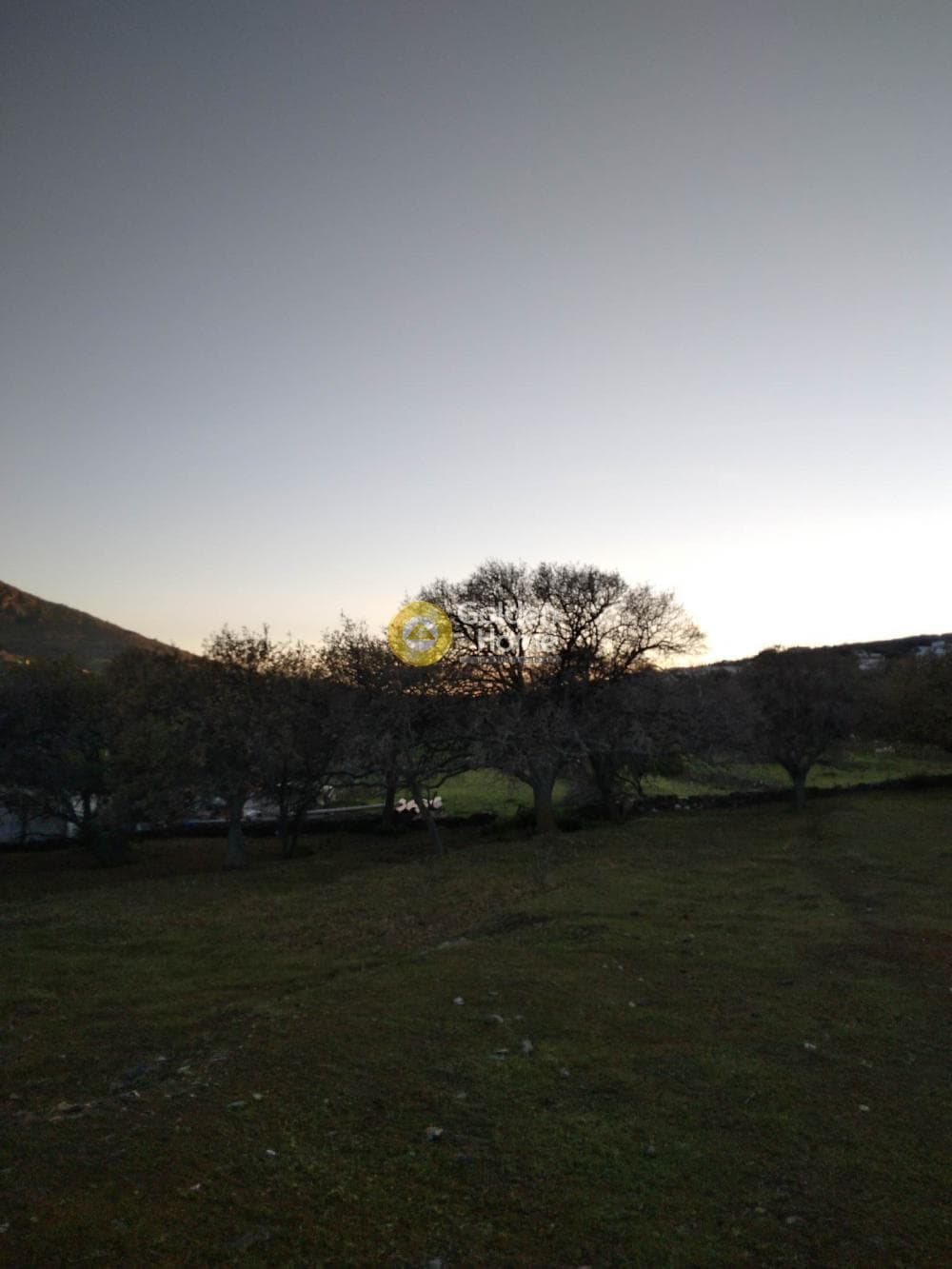 Parcel in Mesaria, Andros — Photo 10 of 57