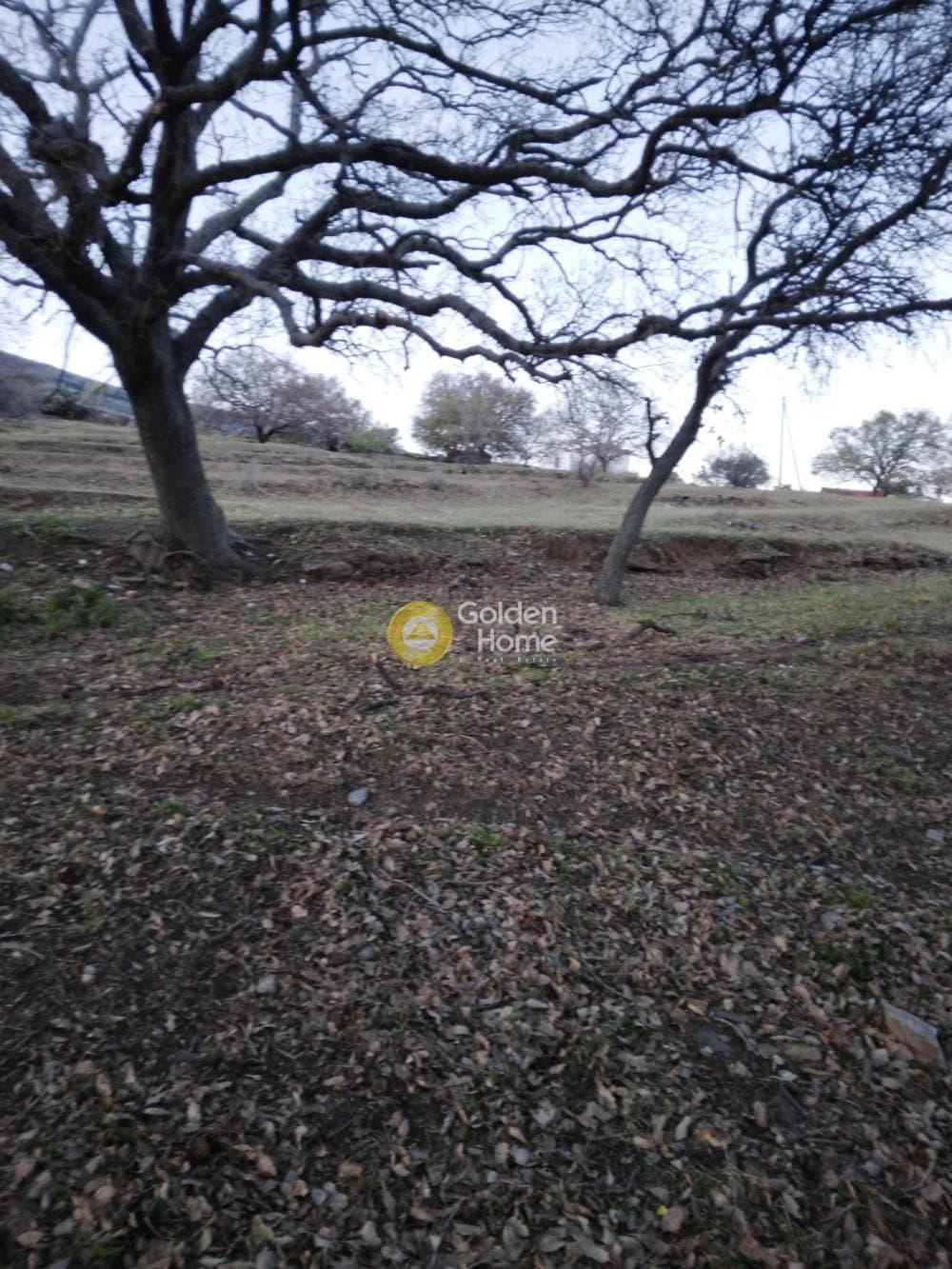 Parcel in Mesaria, Andros — Photo 12 of 57