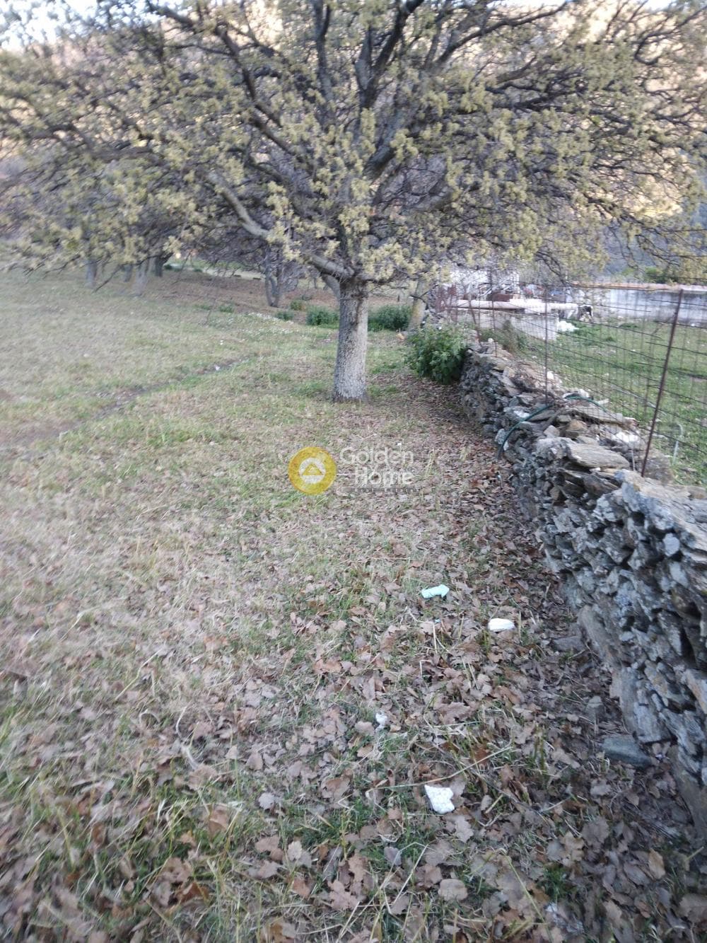 Parcel in Mesaria, Andros — Photo 13 of 57