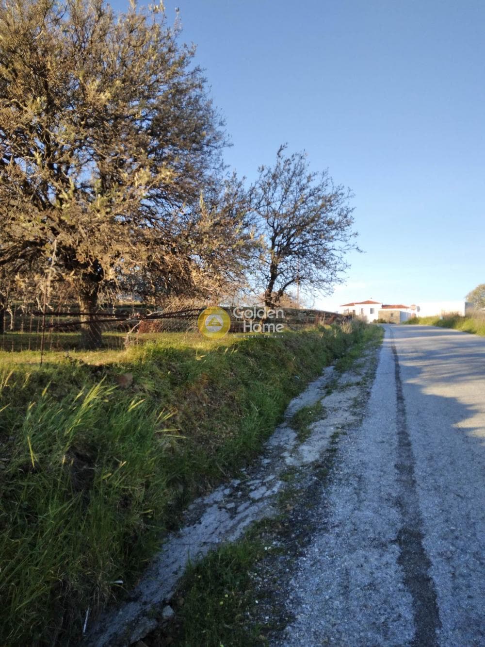 Parcel in Mesaria, Andros — Photo 16 of 57