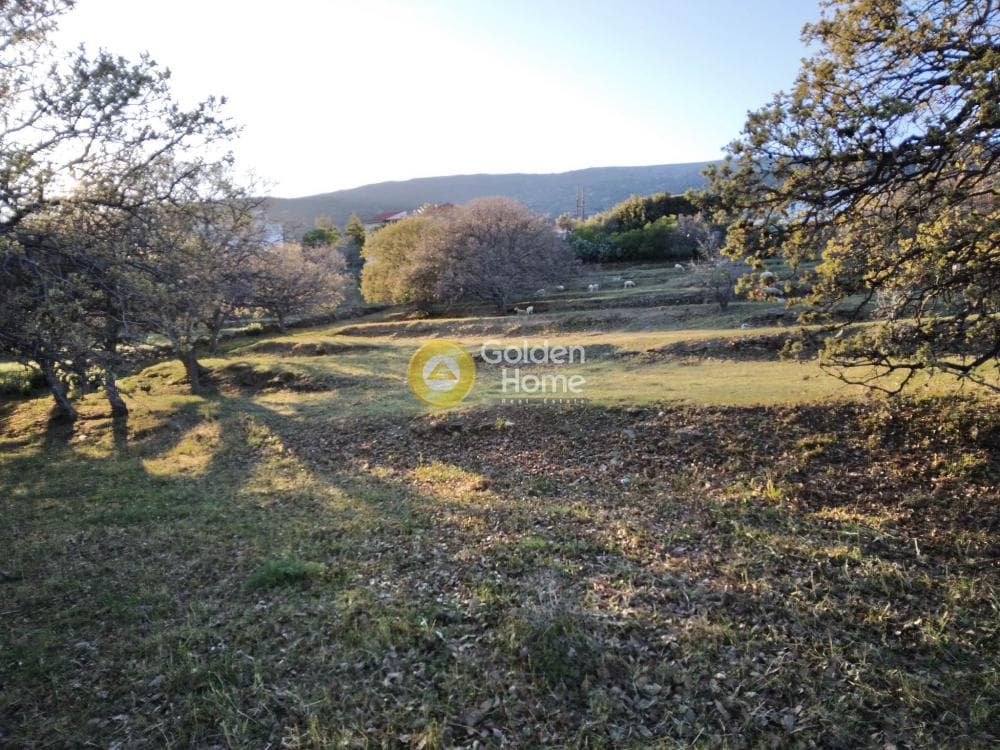 Parcel in Mesaria, Andros — Photo 17 of 57