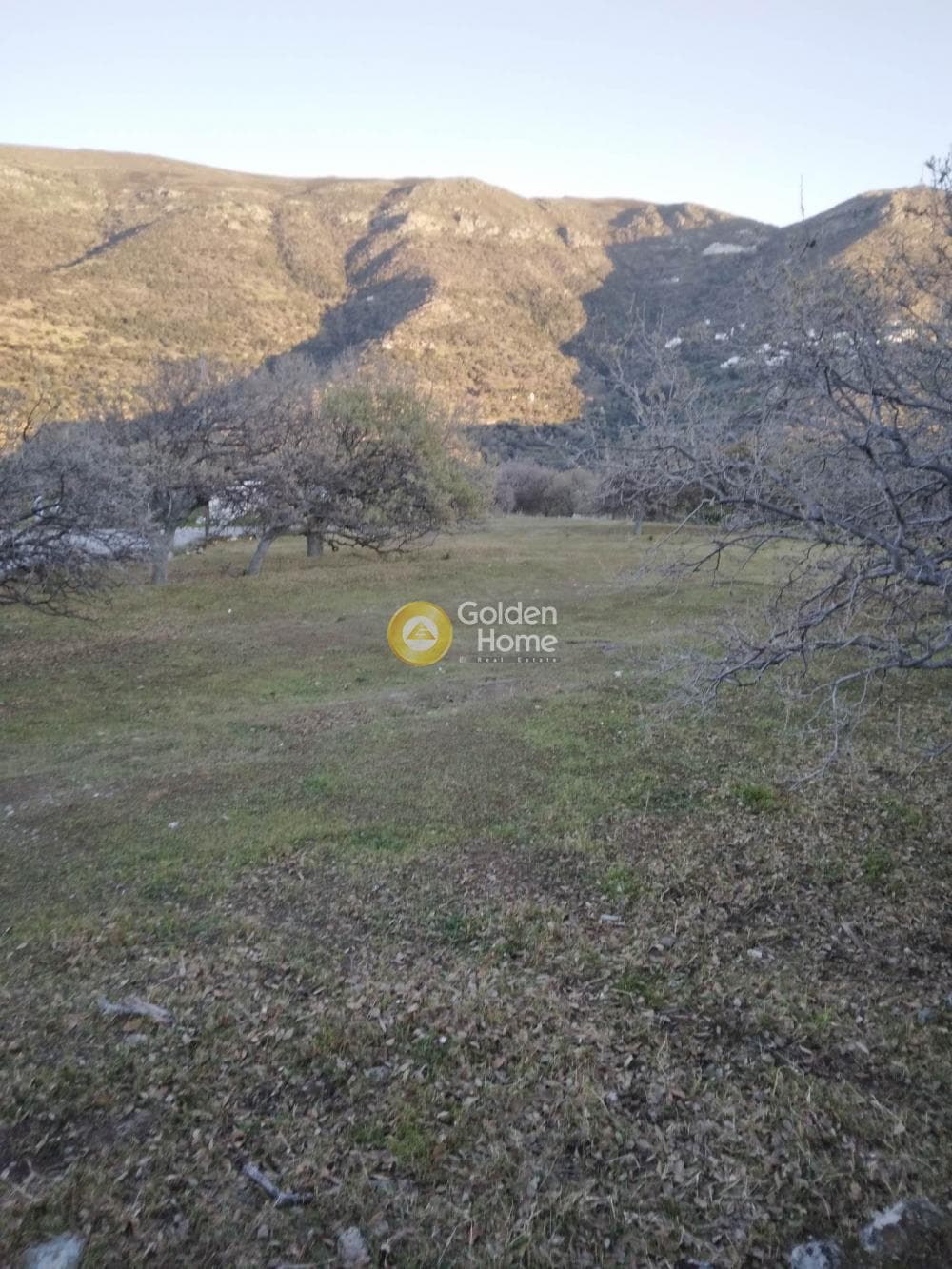 Parcel in Mesaria, Andros — Photo 19 of 57
