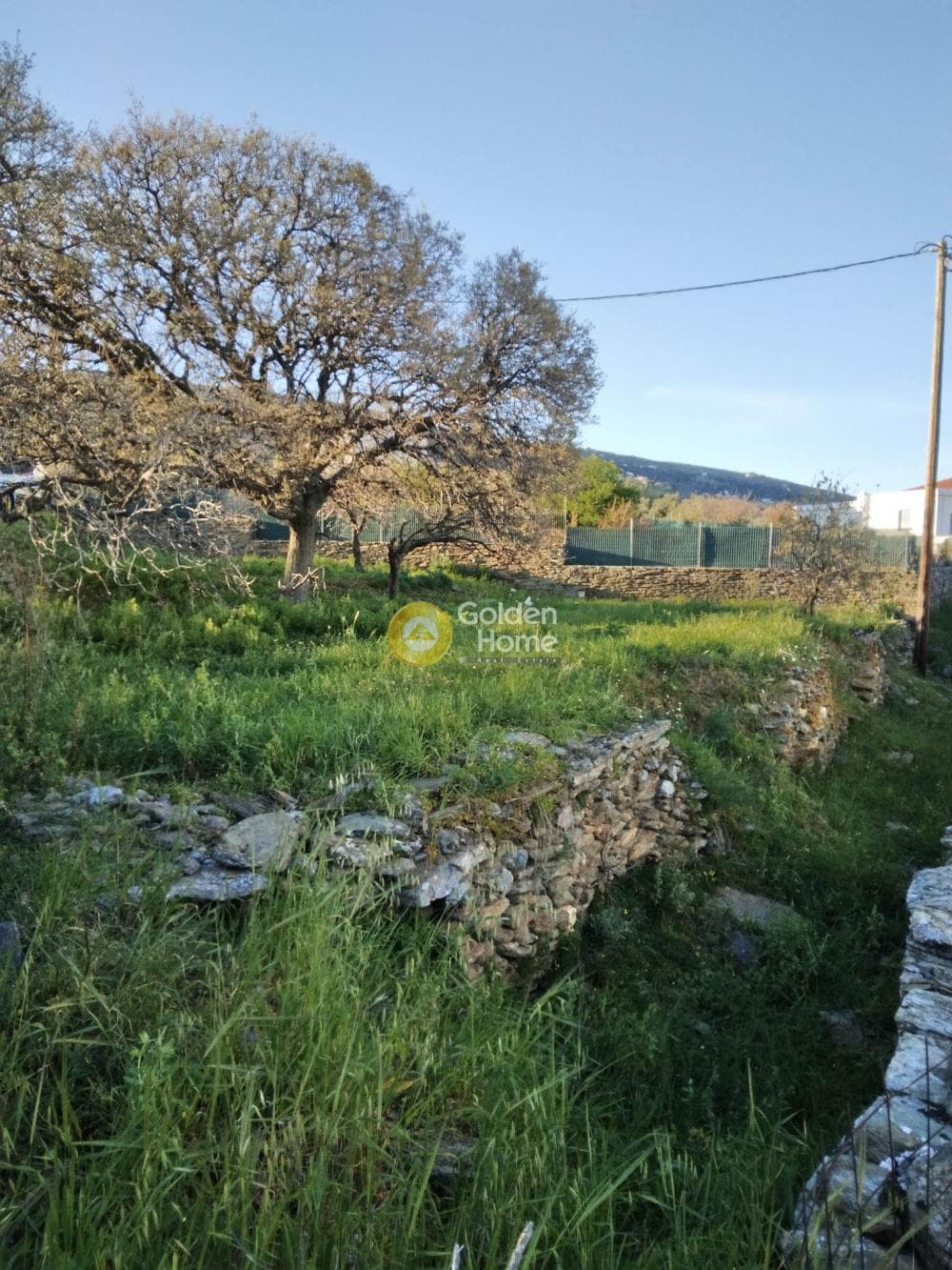 Parcel in Mesaria, Andros — Photo 20 of 57