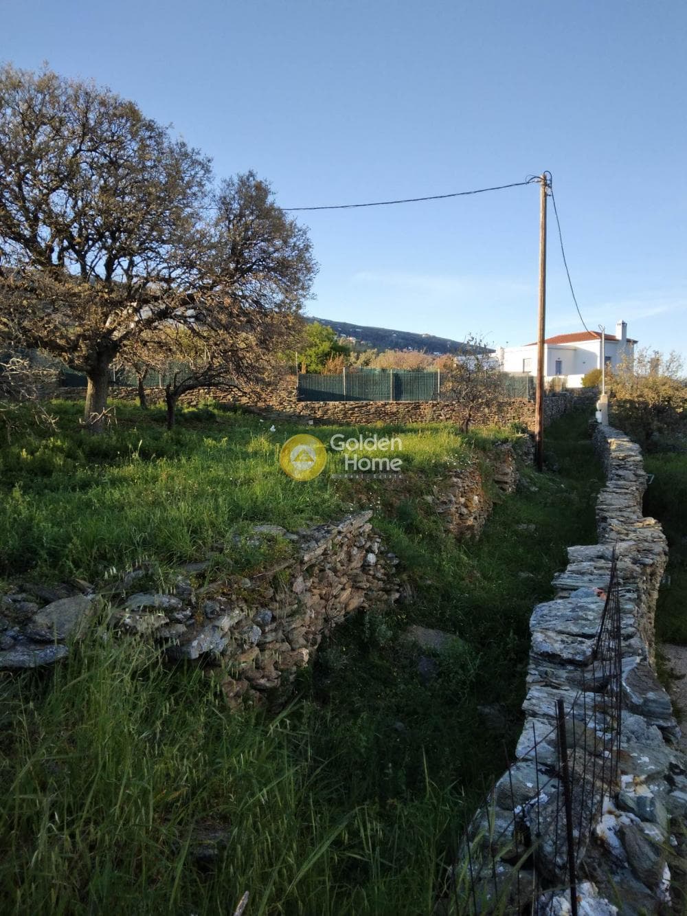 Parcel in Mesaria, Andros — Photo 24 of 57