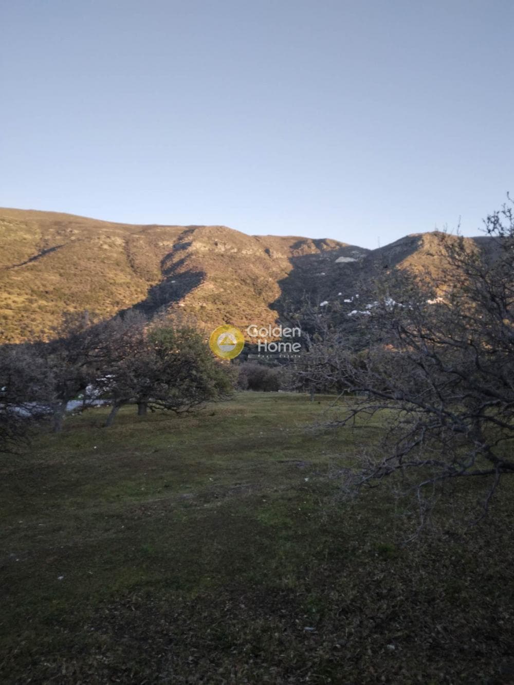 Parcel in Mesaria, Andros — Photo 28 of 57