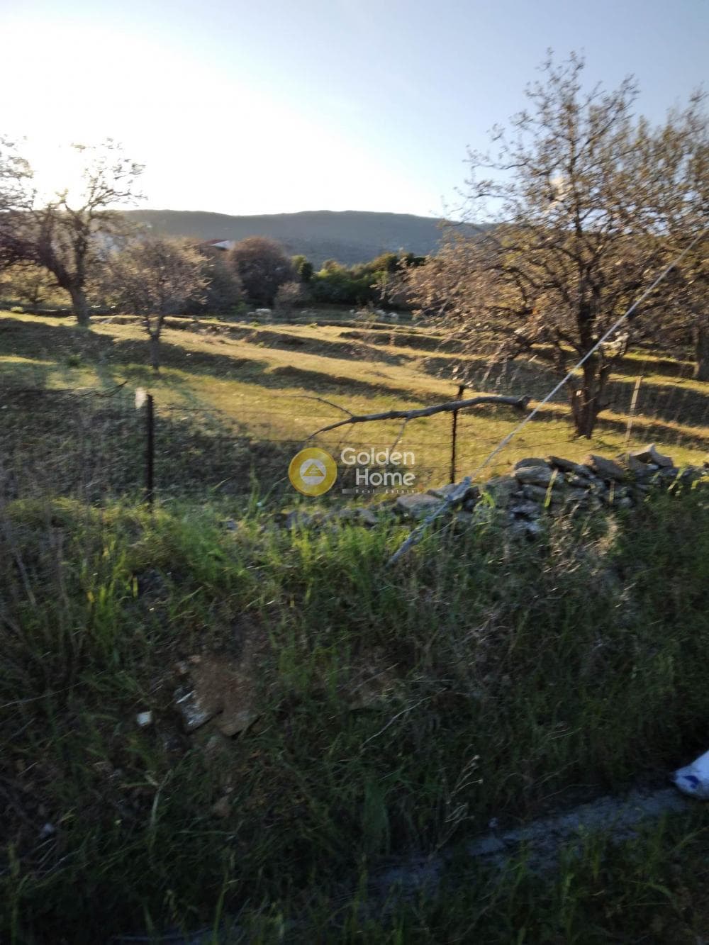 Parcel in Mesaria, Andros — Photo 40 of 57