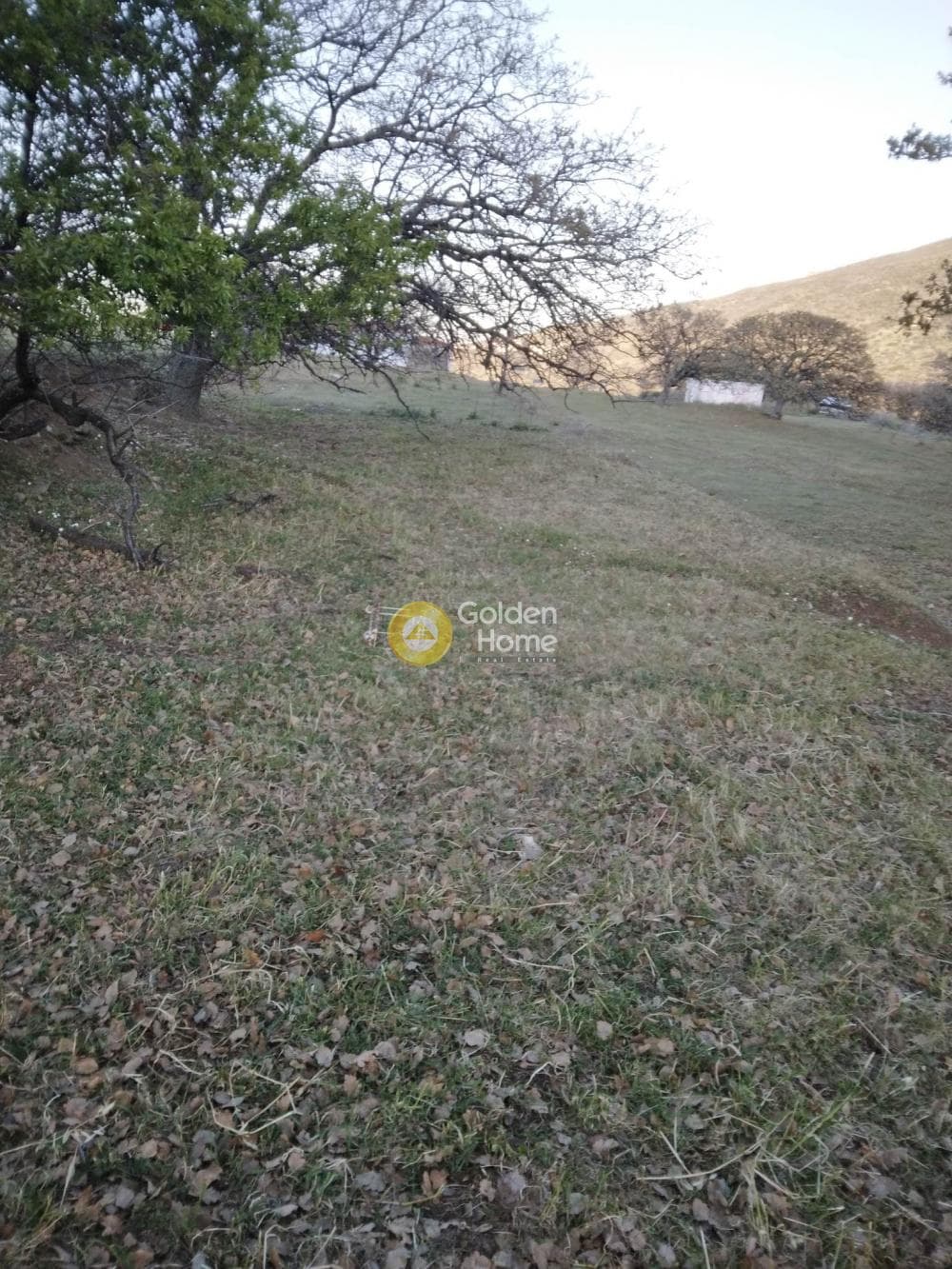 Parcel in Mesaria, Andros — Photo 43 of 57