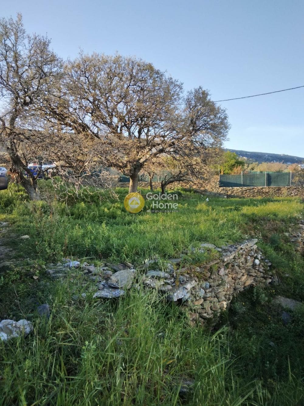 Parcel in Mesaria, Andros — Photo 47 of 57
