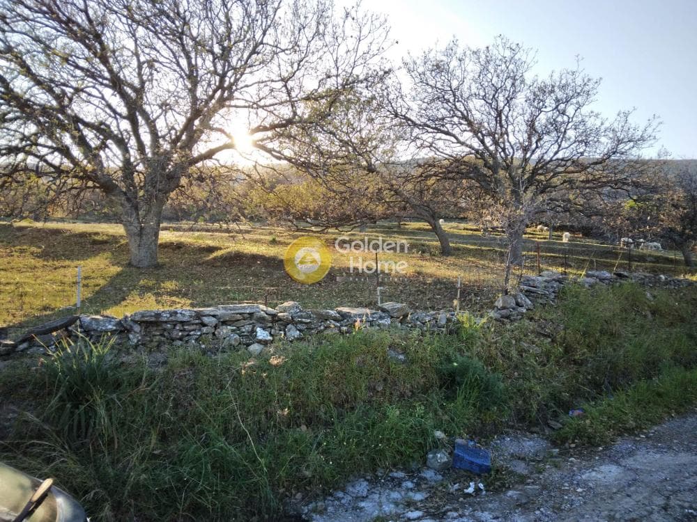 Parcel in Mesaria, Andros — Photo 55 of 57
