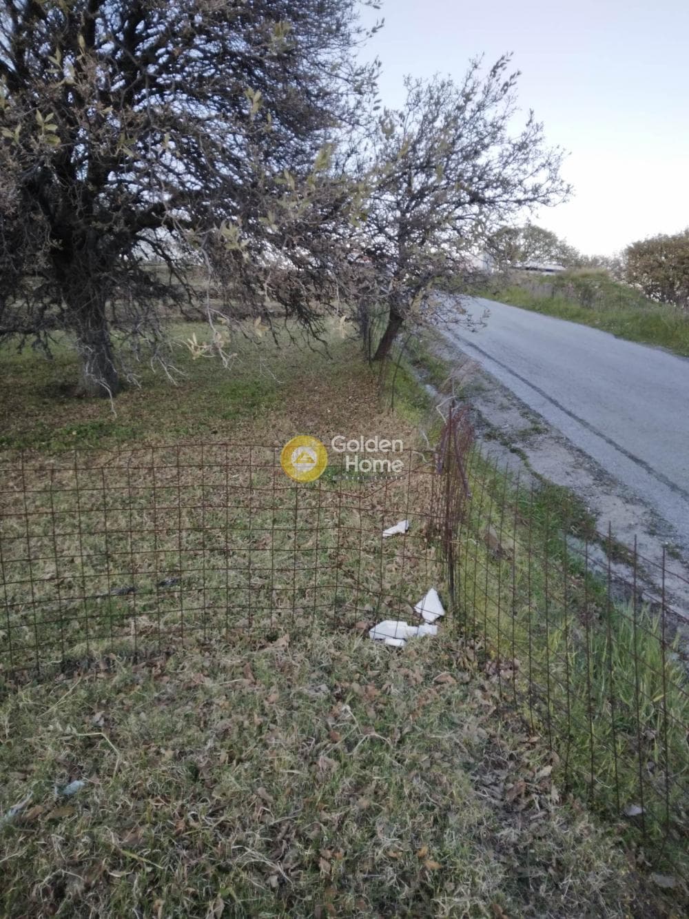 Parcel in Mesaria, Andros — Photo 57 of 57