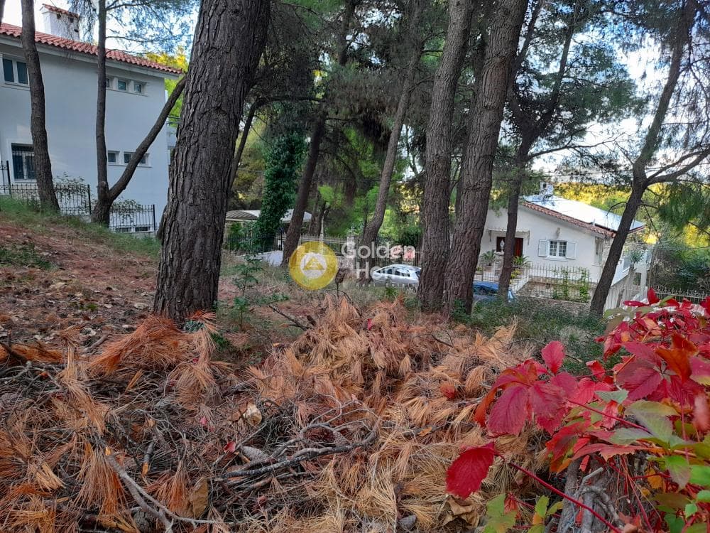 Building Plot in Agia Paraskevi, Agios Stefanos — Photo 2 of 2