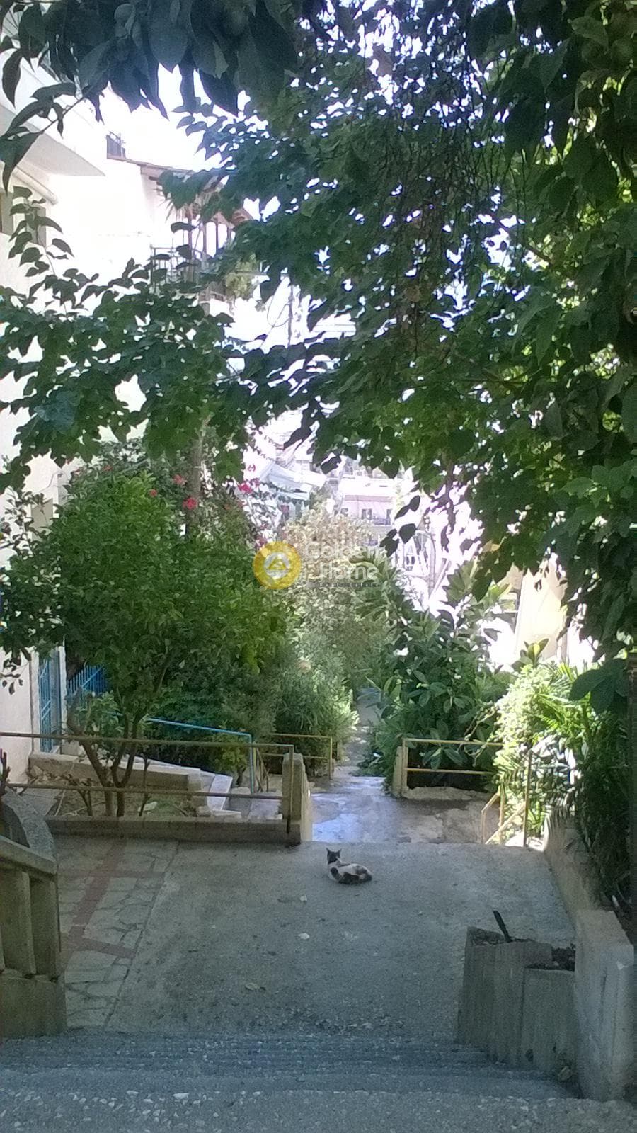 Οικόπεδο στην Πανόρμου, Γουδή — Φωτογραφία 5 από 10
