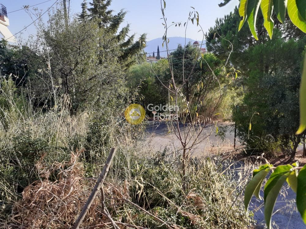 Building Plot in Anthousa, Anthoisa — Photo 2 of 4