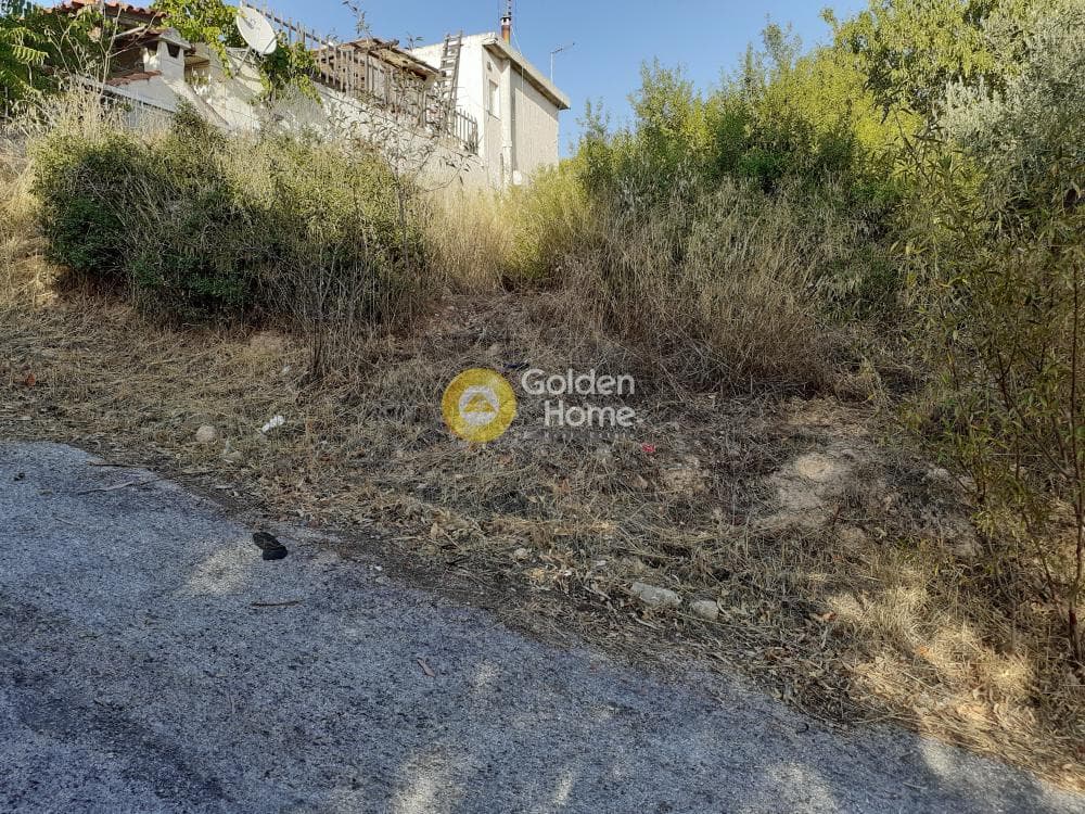 Building Plot in Anthousa, Anthoisa — Photo 4 of 4