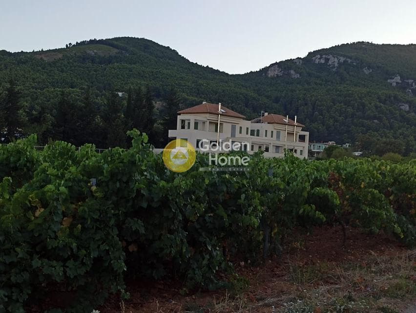 Οικόπεδο στην Σταθμός Αφιδνών, Αφίδνες — Φωτογραφία 3 από 5