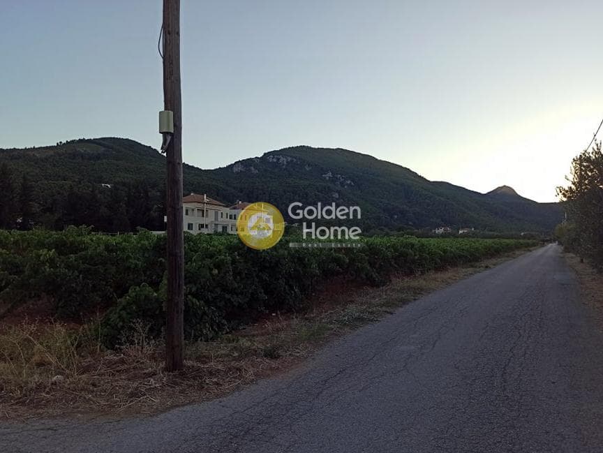 Οικόπεδο στην Σταθμός Αφιδνών, Αφίδνες — Φωτογραφία 2 από 5