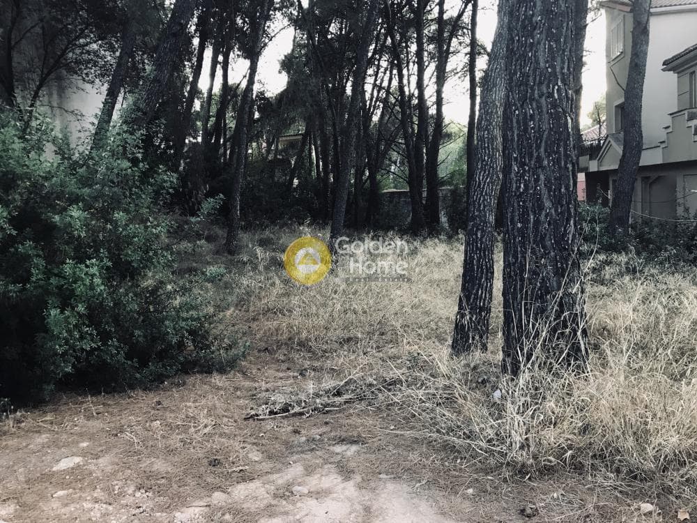 Οικόπεδο στην Αδάμες (Οικισμός Πελοποννησίων), Κηφισιά — Φωτογραφία 1 από 3