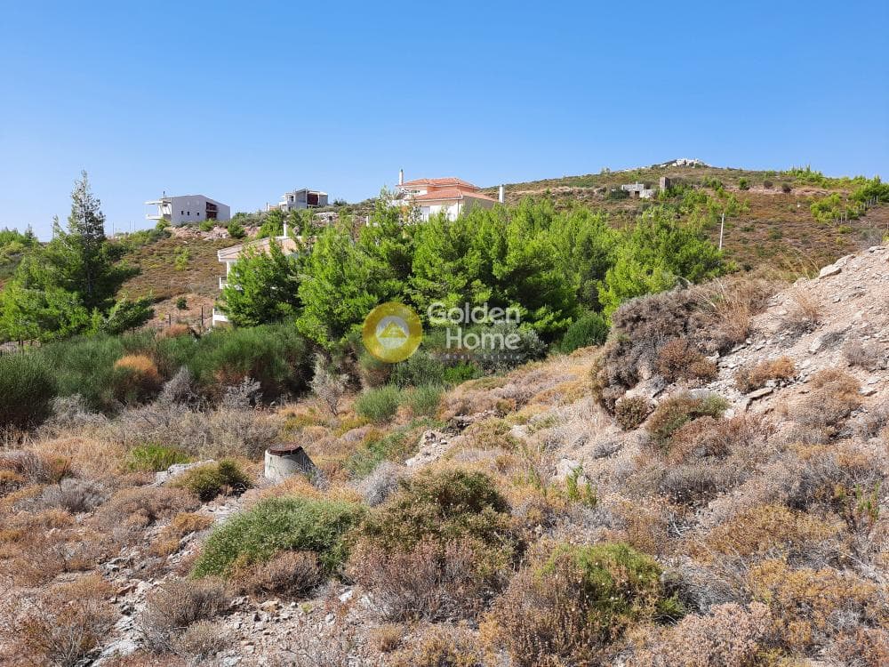 Οικόπεδο στην Δασαμάρι, Πικέρμι — Φωτογραφία 3 από 8