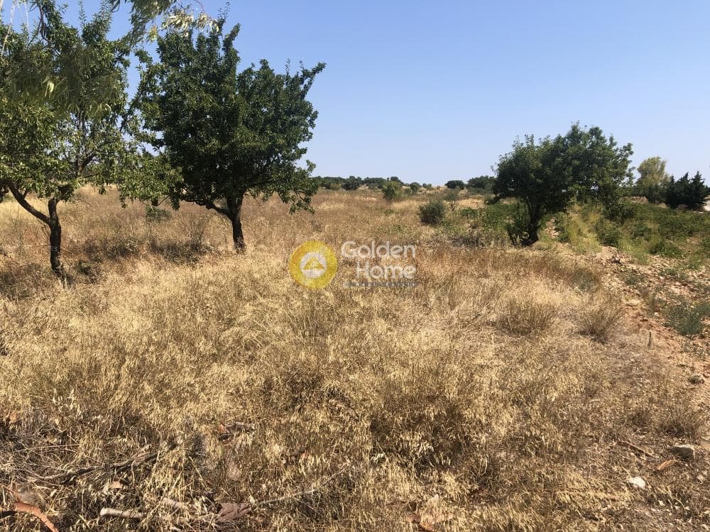 Parcel in Neapoli, Spata — Photo 3 of 6