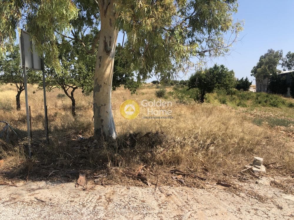 Parcel in Neapoli, Spata — Photo 6 of 6