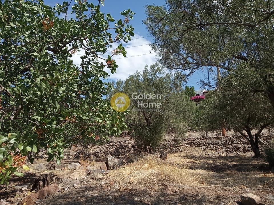 Building Plot in Kapotides, Aegina — Photo 2 of 8