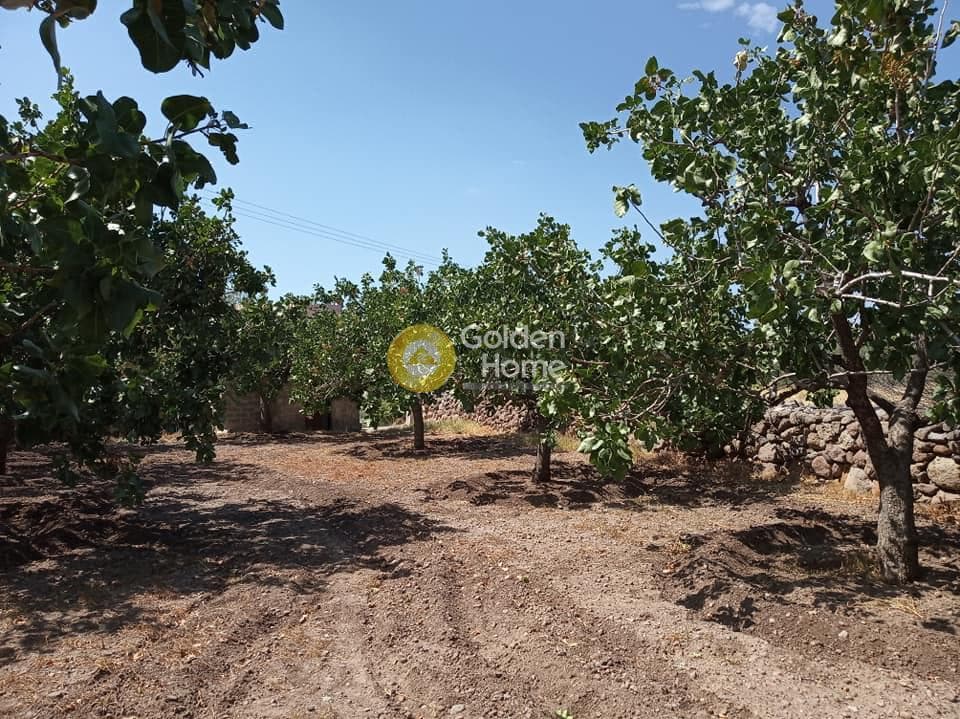 Building Plot in Kapotides, Aegina — Photo 5 of 8
