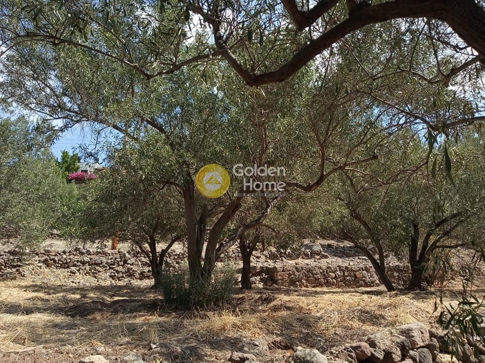 Building Plot in Kapotides, Aegina — Photo 6 of 8