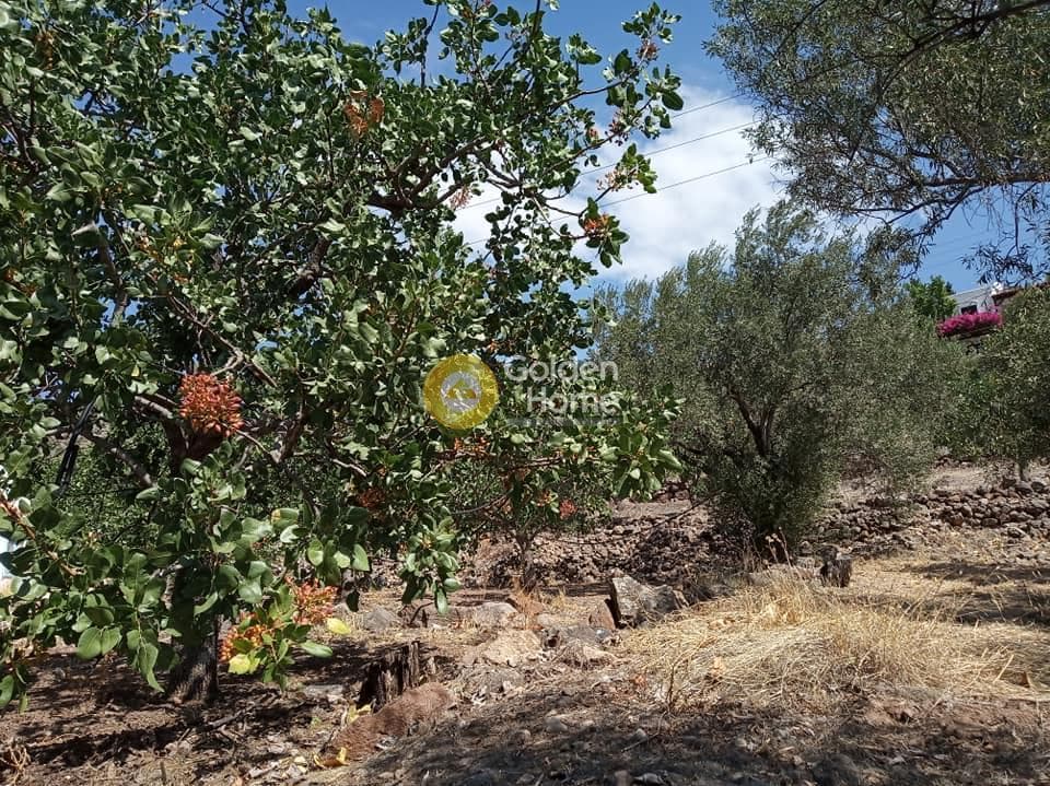 Building Plot in Kapotides, Aegina — Photo 8 of 8