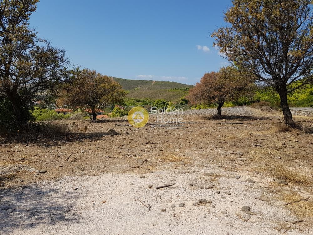 Οικόπεδο στην Καμάριζα, Λαύριο — Φωτογραφία 1 από 3