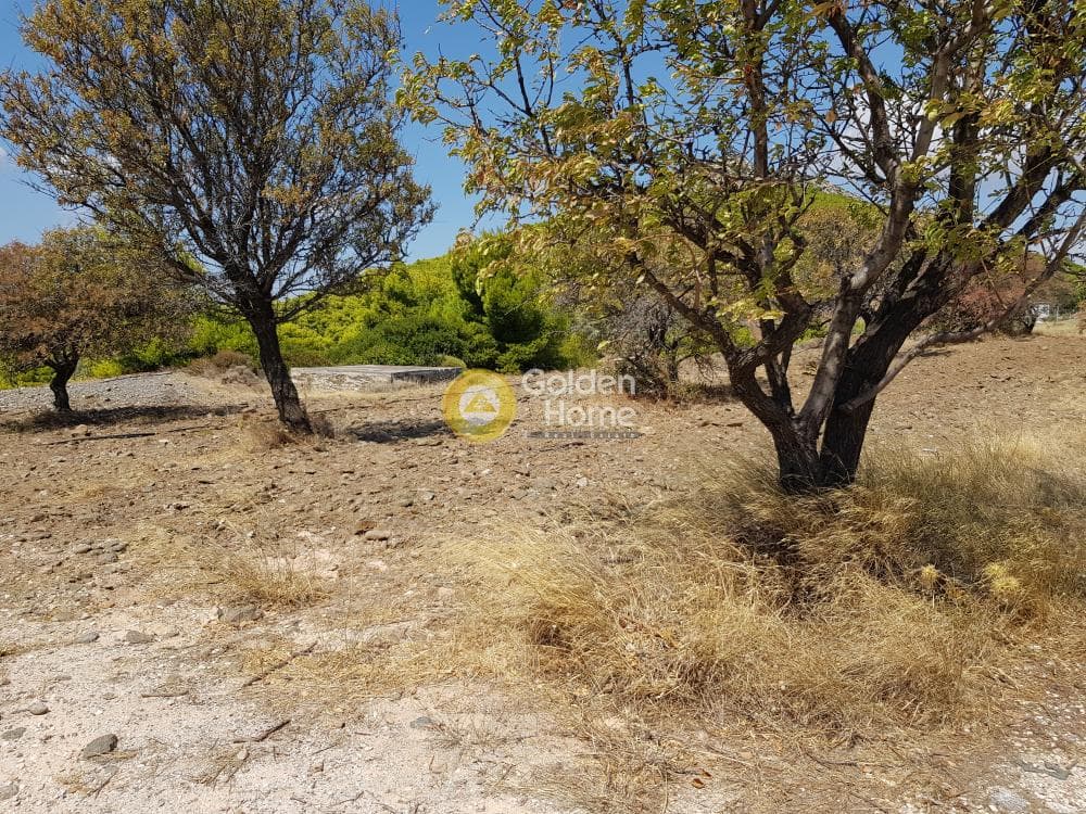 Οικόπεδο στην Καμάριζα, Λαύριο — Φωτογραφία 2 από 3