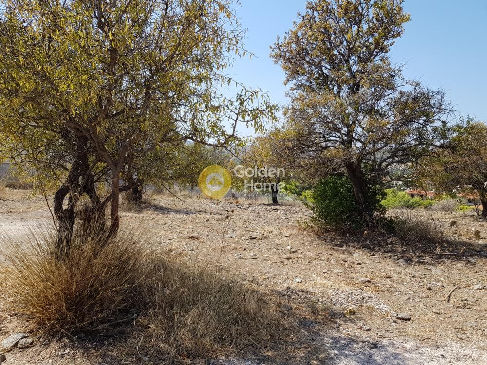 Οικόπεδο στην Καμάριζα, Λαύριο — Φωτογραφία 3 από 3