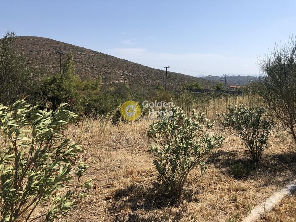Οικόπεδο στην Δασαμάρι, Πικέρμι — Φωτογραφία 6 από 6