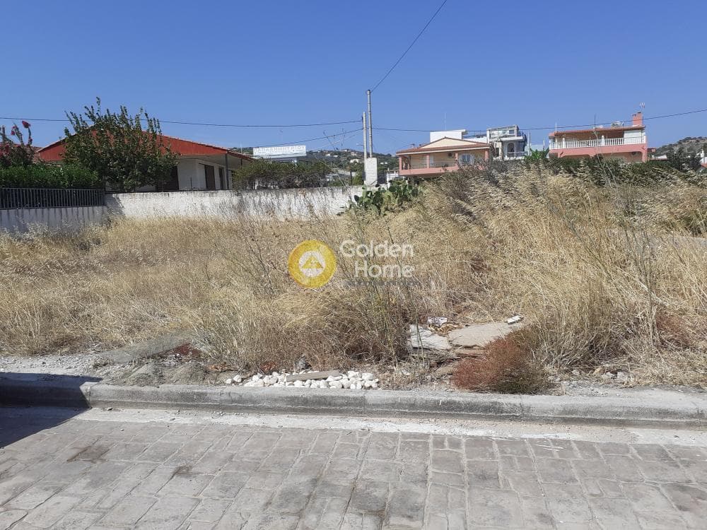 Building Plot in Vorineza, Artemida (Loutsa) — Photo 2 of 3